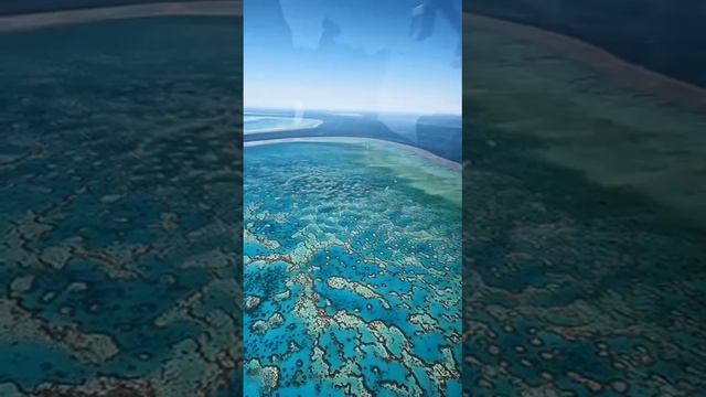 Большой Барьерный риф — крупнейшая в мире система коралловых рифов, состоящая из более чем 2900 о...