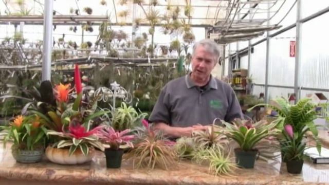 Rainforest Flora Nursery
