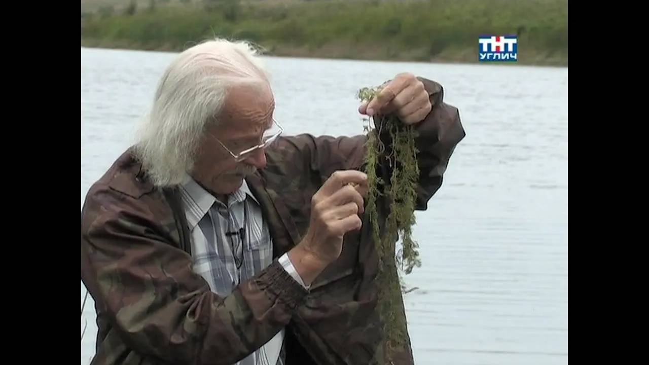 Наедине с природой. Пузырчатка обыкновенная | 2011