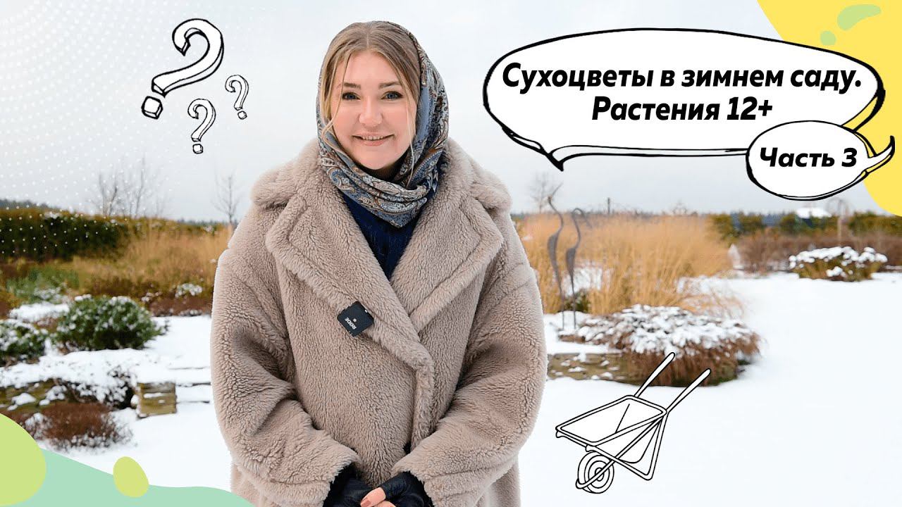 Сухоцветы в саду | Растения 12+ | Гортензия метельчатая | Пузыреплодник | Рудбекия | Очиток | Аконит