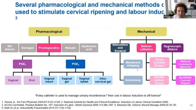 Cervical Ripening and Induction of labour a global perspective Irene Hoesli