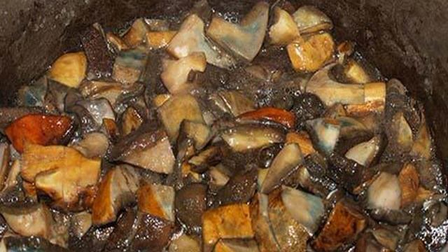 Запеченные моховики