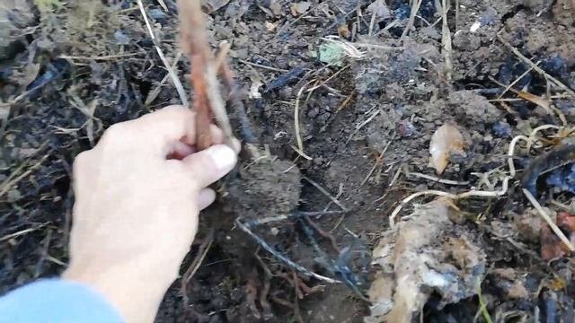 БЕЗ МОНТАЖА 5. МАЛИНА, ЦЕЛИНА И ПОМОЙКА