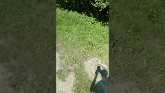 чп.на Масловке в Воронеже .
