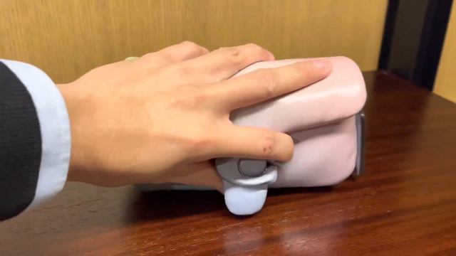 Coachbag Pillow Tabby 炫彩 枕頭包 雲朵包