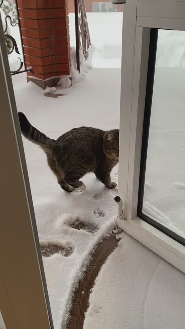 ❄️ На зимнюю прогулку