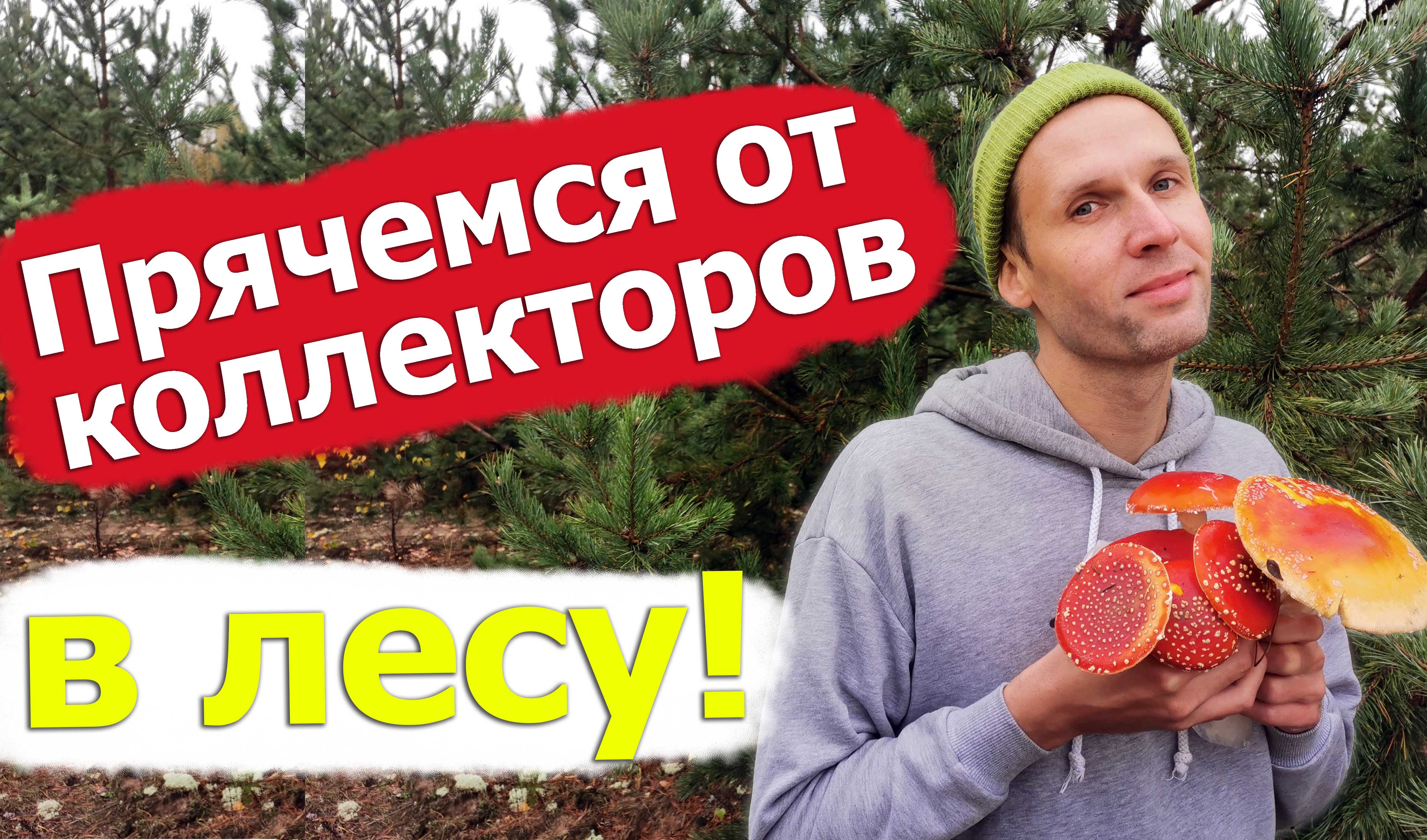 Банкротство - Вся правда о коллекторах #4