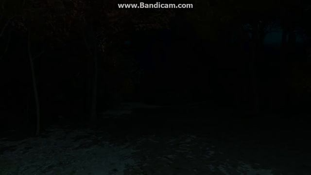 прохождение игры passing pineview forest 1 часть
