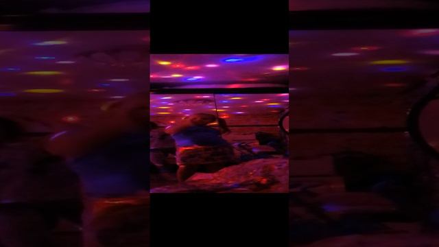 VID_20240907_144744.mp4