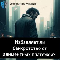Экспертное Мнение - юридический портал Омска: освобождает ли банкротство от алиментных выплат?