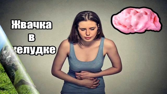МИФЫ И ЗАБЛУЖДЕНИЯ, В КОТОРЫЕ МЫ ВЕРИМ