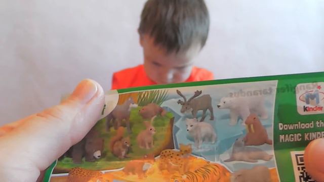 Киндер Сюрприз Животные Энимал Плэнет распаковка игрушек Kinder Surprise eggs Animal Planet