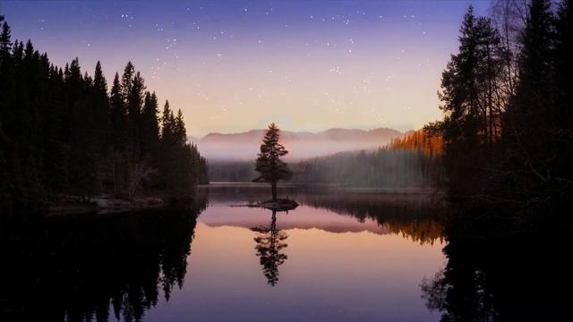 Звуки природы. Ночь в лесу. Костер | Sounds of nature. Night in the forest. Fire