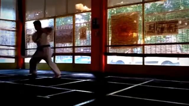 Fudokan Shotokan Karate
