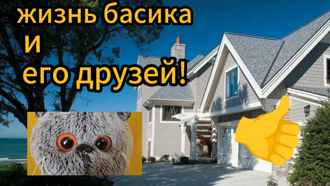 жизнь басика и его друзей! новая рубрика!