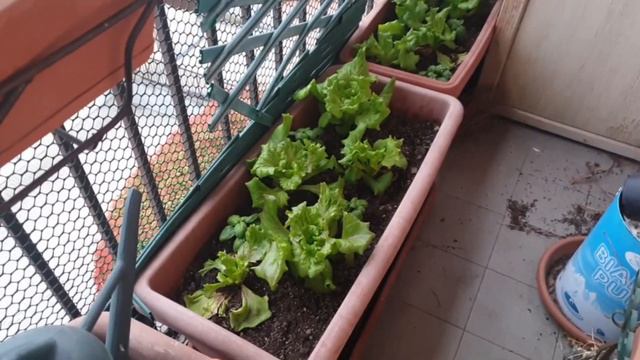 В ОЧЕРЕДИ НА ХОЛОДЕ / КАКИ ВЫЛЕТАЮТ)) РАЗГОВОРЫ С РОДНЫМИ ВАЖНО