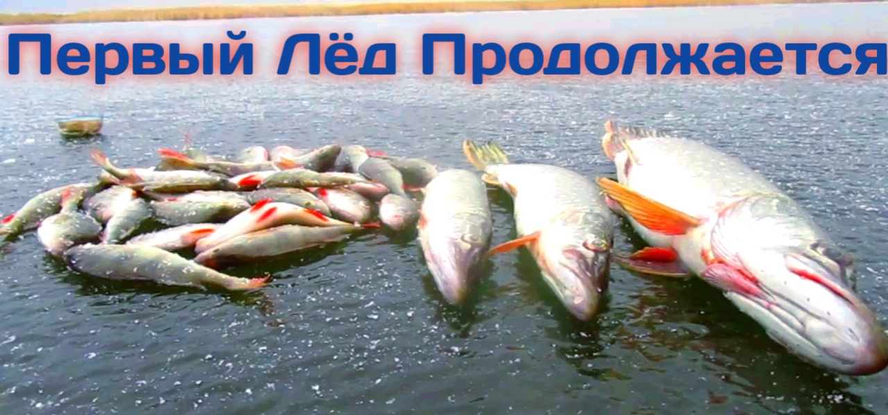 ПЕРВЫЙ ЛЕД ПРОДОЛЖАЕТСЯ! И ОКУНЬ И ЩУКА! И МОРМЫШКА И БЛЕСНА и ЖЕРЛИЦЫ!