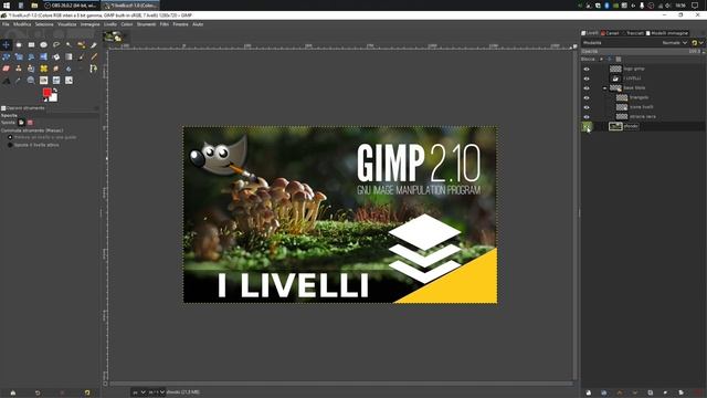 Corso Gimp 2.10 ep. 1: I livelli [Tutorial Ita]