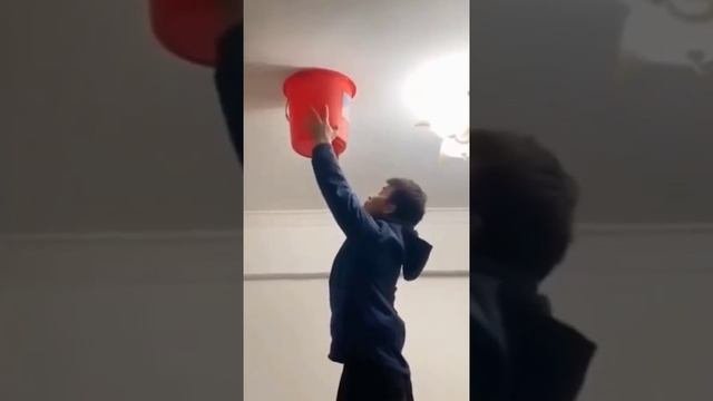 Ловля пауков