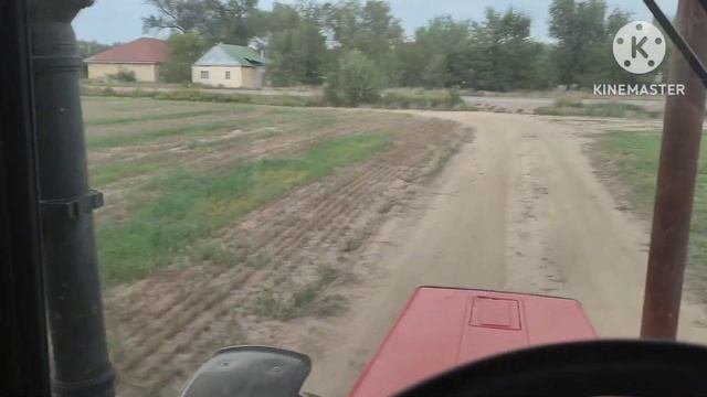Прессую третий укос люцерны вместе с грибами прессом Welger Ap 61 на тракторе МТЗ 82.1 турбо.