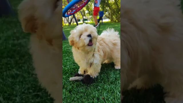 1000684741.mp4