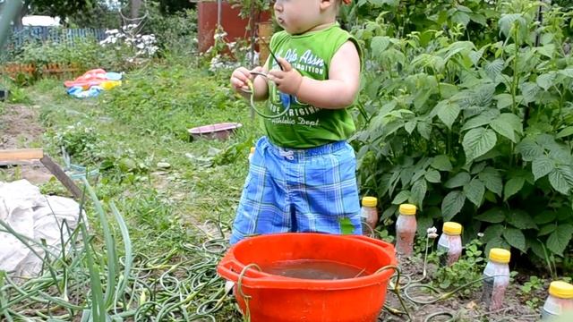 Егорка помагает на огороде с чесноком годик