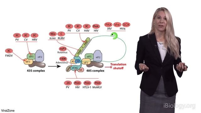 Britt Glaunsinger (UCB, HHMI) 1: Viruses Reveal the Secrets of Biology