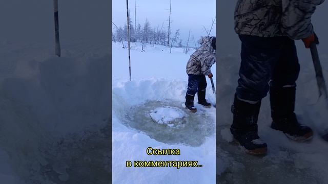 Лунка для водопоя крс. Якутская пешня