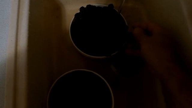КРАСНОДАРСКИЙ КРАЙ/04.08.2021/Что в станице ночью?