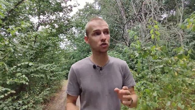 Ушел с Армии. Что поменялось?