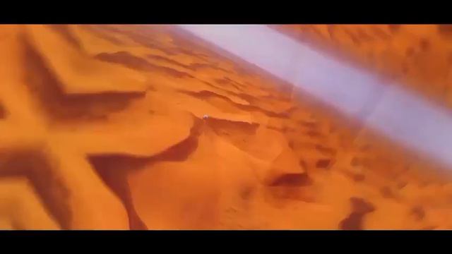 👁️ ОБЪЕДИНЕННЫЕ АРАБСКИЕ ЭМИРАТЫ
