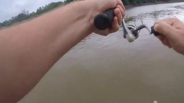 No Boat And Short On Time? I Fish Spots Like This...