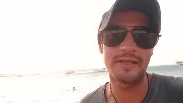 БЕЛАЯ ЗАДНИЦА ГЕЛЕНДЖИКА