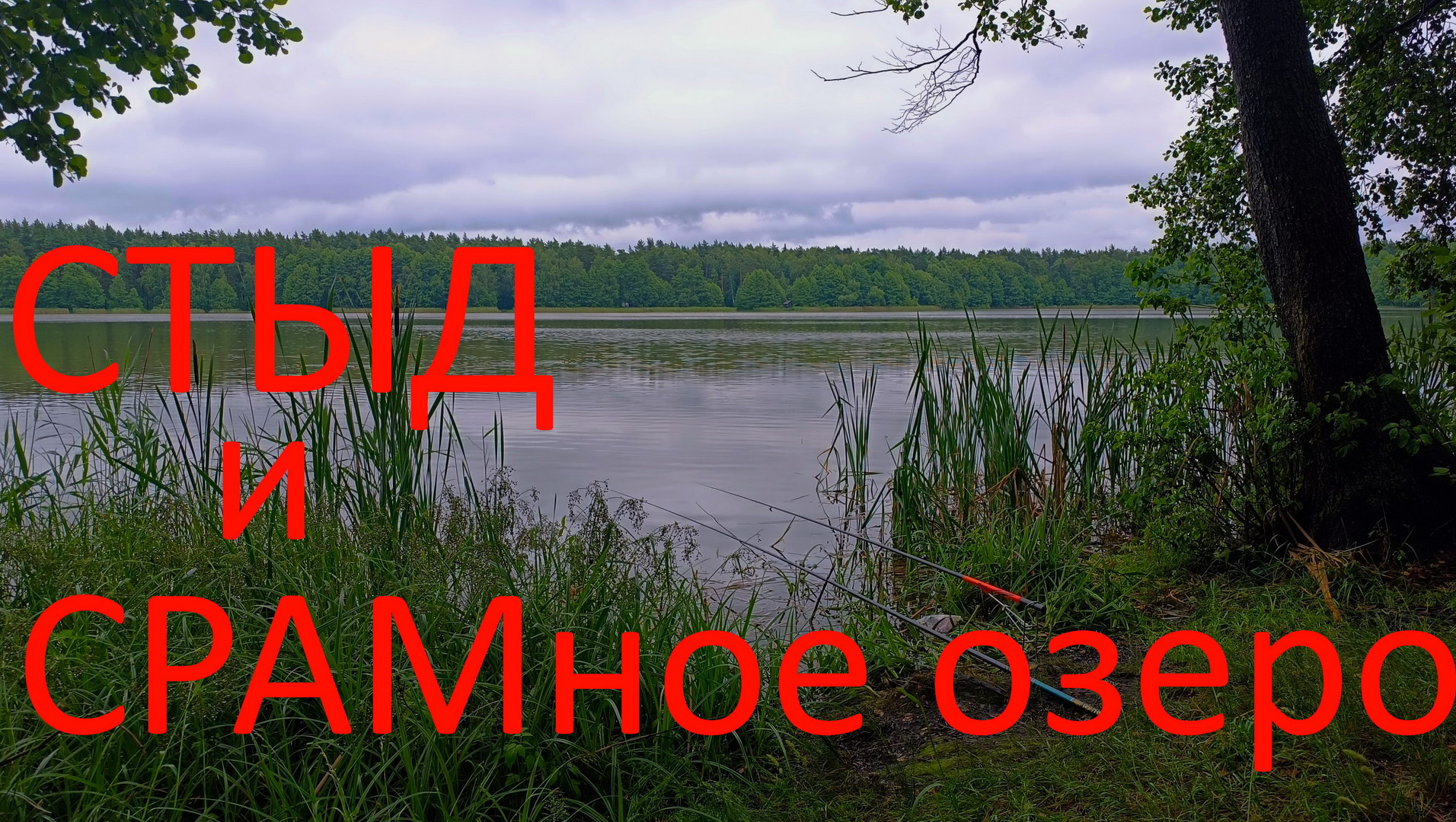 СТЫД и СРАМное озеро. 20.06.2024. г. Белоозерский.