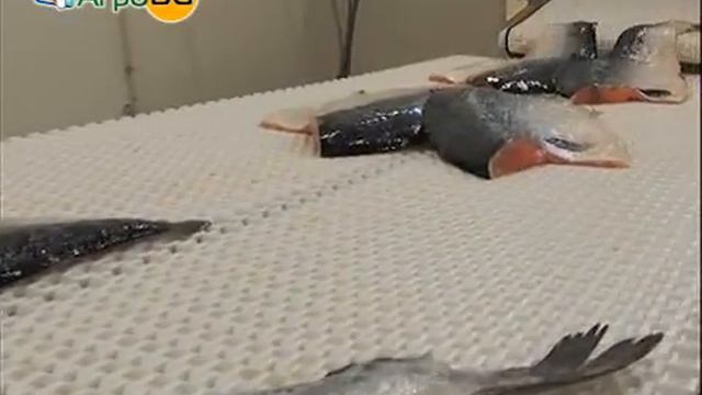 Как се прави бизнес в България