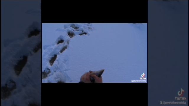 рыбалка по хариусу