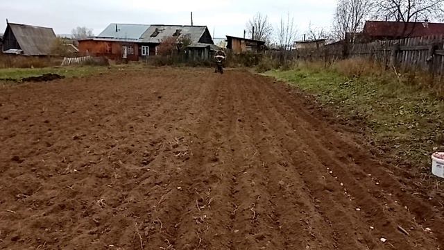 Посадка чеснока 2023.