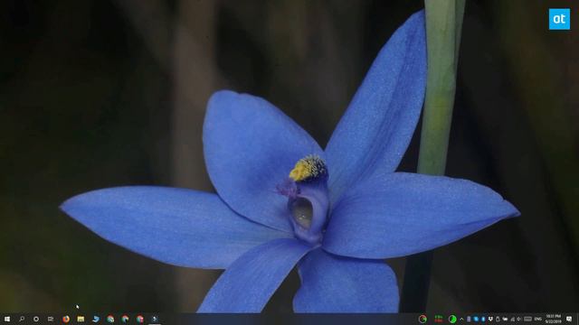 5 ways to open Task Manager on Windows 10
