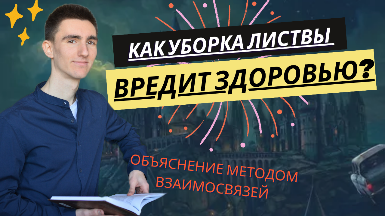 Как уборка листвы вредит здоровью? Разбор темы по методу взаимосвязей. Альтернативная школа