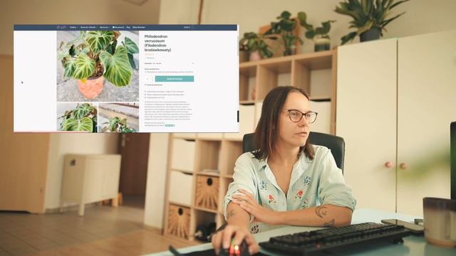 🌱Jakie rośliny wybrać przez Internet? 💻 Gdzie kupować rośliny domowe online? Przegląd sklepów 💸