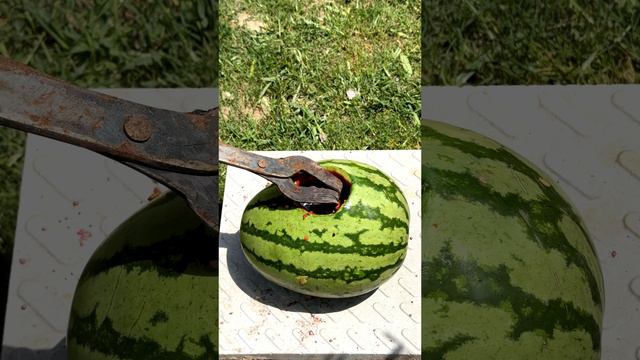 1500 Degrees Hot Molten Copper Vs Watermelon