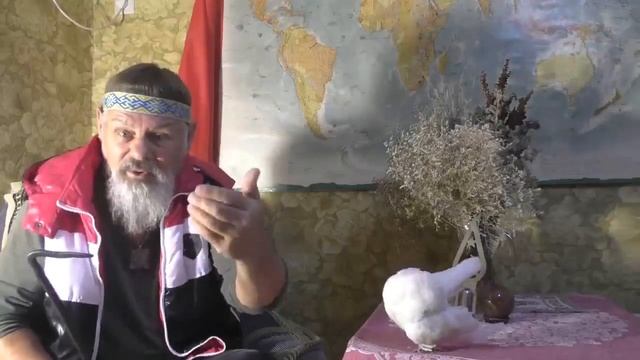 Кто такие "КВАРТАЛЬНЫЕ"? Откуда они взялись и какая от них польза Народу?