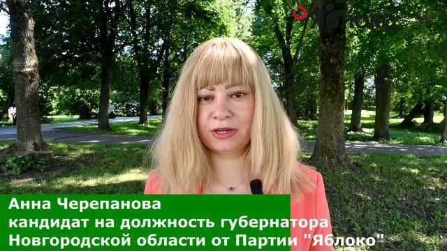 Анна Черепанова предложила 3 кандидатуры в Совет Федерации