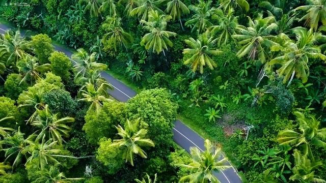 FLYING OVER BALI (4K UHD) - Relaxing Music Along With Beautiful Nature Videos - 4K Video HD