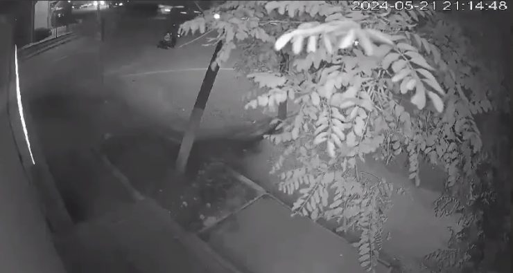 Оставивший 5-летнего мальчика на улице в Новороссийске человек попал на видео