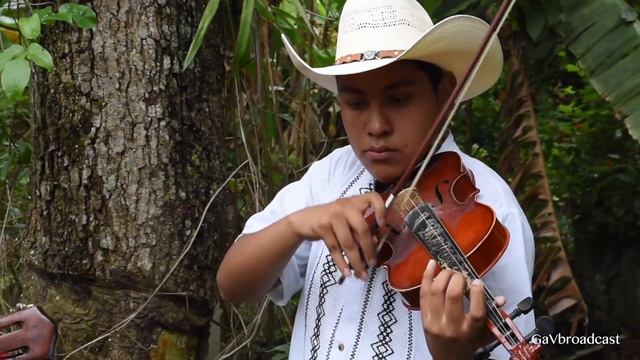 El Trío Inspiración Huapanguera toca Llorando Se Fue (Lambada)