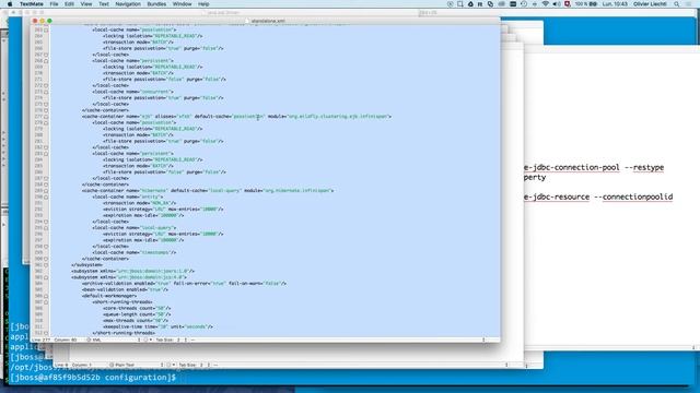Bootcamp 4.6: configuration de Wildfly via Docker