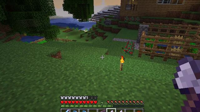 survival in minecraft 162