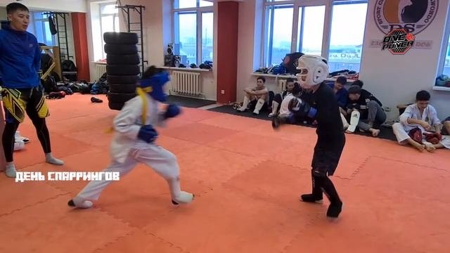 День спаррингов