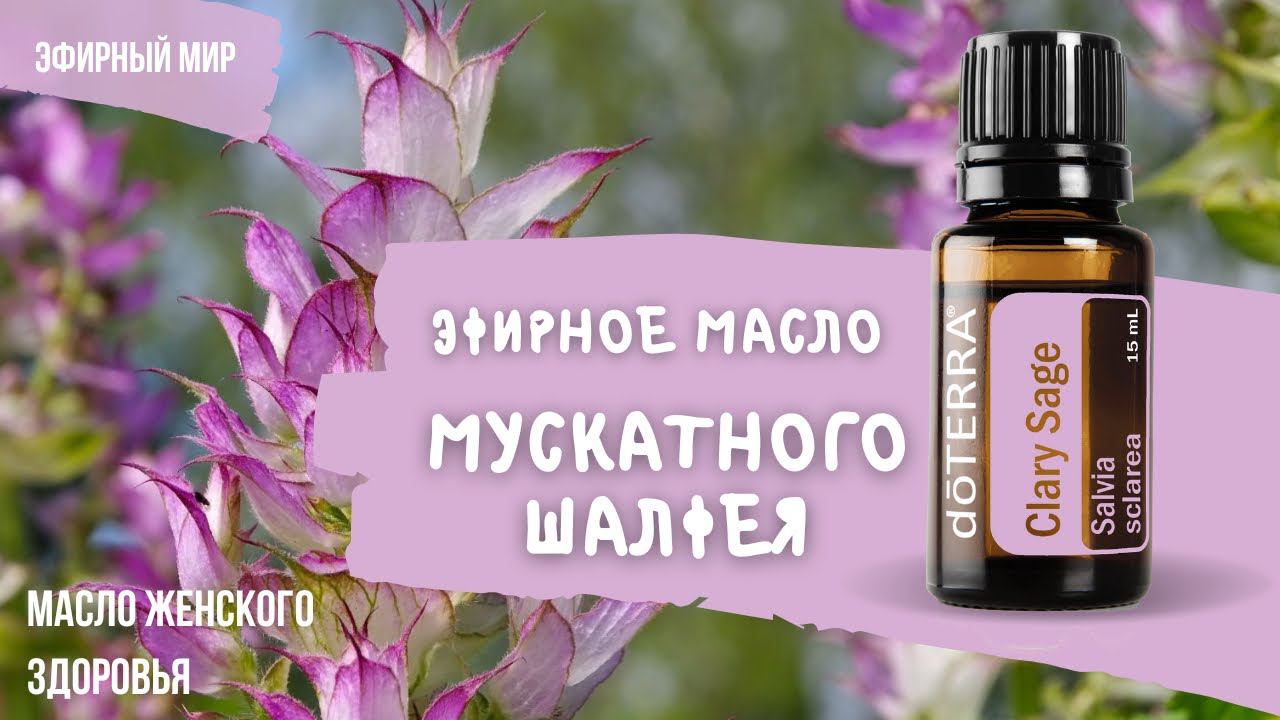 Шалфей мускатный - эфирное масло | При ПМС и ларингрите; масло, замедляющее старение